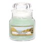 Aromatinė žvakė Yankee Candle Coastal Living, 104 g kaina ir informacija | Žvakės, Žvakidės | pigu.lt