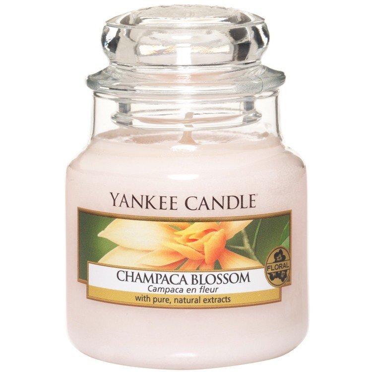 Aromatinė žvakė Yankee Candle Champaca Blossom, 105 g kaina ir informacija | Žvakės, Žvakidės | pigu.lt