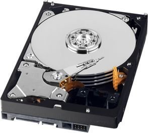 Western Digital WD AV-GP 3.5''500GB SATA/600, 64MB cache (WD5000AURX) kaina ir informacija | Vidiniai kietieji diskai (HDD, SSD, Hybrid) | pigu.lt