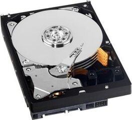 Western Digital WD AV-GP 3.5''500GB SATA/600, 64MB cache (WD5000AURX) цена и информация | Внутренние жёсткие диски (HDD, SSD, Hybrid) | pigu.lt