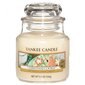 Kvapioji žvakė Yankee Candle Christmas Cookie 104 g цена и информация | Žvakės, Žvakidės | pigu.lt