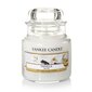 Aromatinė žvakė Yankee Candle Vanilla, 105 g kaina ir informacija | Žvakės, Žvakidės | pigu.lt