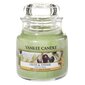 Aromatinė žvakė Yankee Candle Olive&Thyme, 105 g kaina ir informacija | Žvakės, Žvakidės | pigu.lt