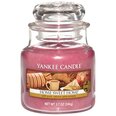 Aromatinė žvakė Yankee Candle Home Sweet Home, 104 g