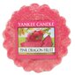 Aromatinis vaškas Yankee Candle Pink Dragon Fruit, 22 g kaina ir informacija | Žvakės, Žvakidės | pigu.lt