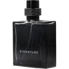 Nino Cerruti 1881 Signature EDP для мужчин, 100 мл цена и информация | Мужские духи | pigu.lt