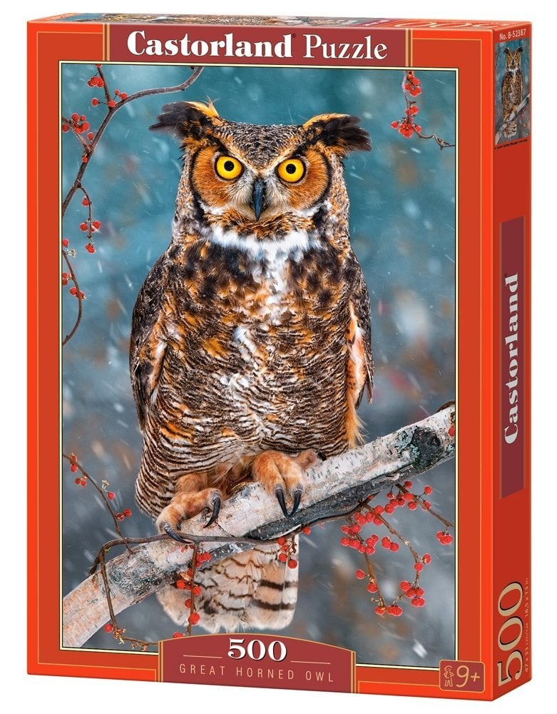 Dėlionė Puzzle Castorland Great Horned Owl, 500 det. kaina ir informacija | Dėlionės (puzzle) | pigu.lt