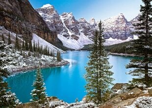 Пазл Castorland Jewel Of The Rockies, Canada, 1000 дет. цена и информация | Пазлы | pigu.lt