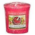 Aromatinė žvakutė Yankee Candle Red Raspberry 49 g