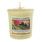 Aromatinė žvakutė Yankee Candle Lemongrass & Ginger 49 g kaina ir informacija | Žvakės, Žvakidės | pigu.lt