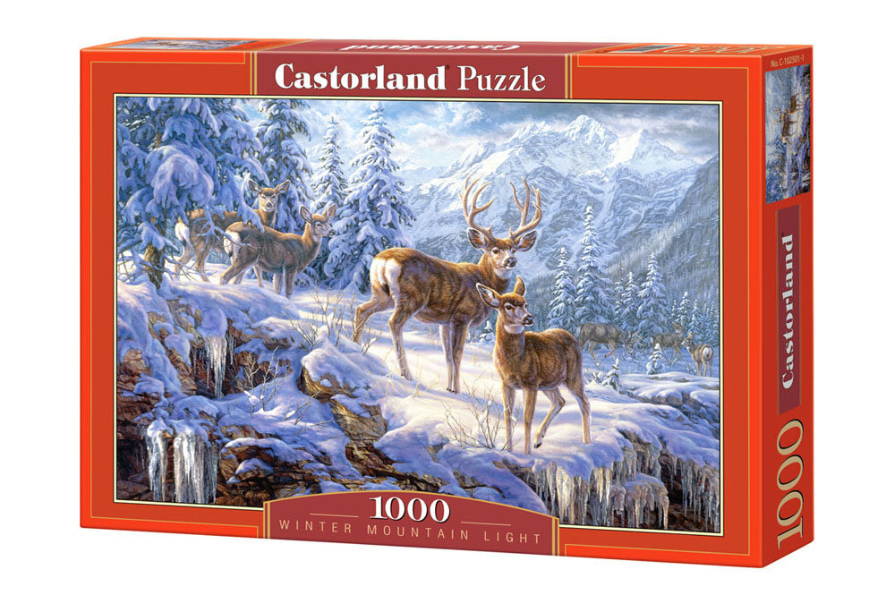 Dėlionė Puzzle Castorland Winter Mountain Light, 1000 det. kaina ir informacija | Dėlionės (puzzle) | pigu.lt