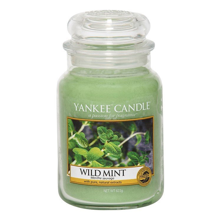 Aromatinė žvakė Yankee Candle Wild Mint, 623 g kaina ir informacija | Žvakės, Žvakidės | pigu.lt