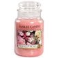 Kvapioji žvakė Yankee Candle Fresh Cut Roses 623 g kaina ir informacija | Žvakės, Žvakidės | pigu.lt