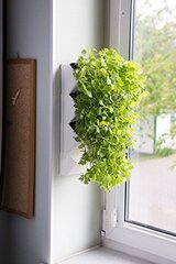 Вертикальный модуль для растений Versa Garden Herbs цена и информация | Горшки | pigu.lt