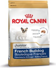 Royal Canin корм для щенков французского бульдога, 10 кг цена и информация | Сухой корм для собак | pigu.lt