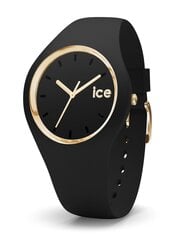Moteriškas laikrodis Ice Watch 000982 kaina ir informacija | Moteriški laikrodžiai | pigu.lt
