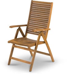 Кресло COMFY by Fieldmann цена и информация |  Садовые стулья, кресла, пуфы | pigu.lt