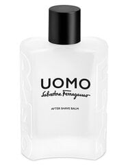 Бальзам после бритья Salvatore Ferragamo для мужчин, 100 мл цена и информация | Мужская парфюмированная косметика | pigu.lt