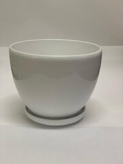 Keramikinis vazonas Agava 3 su lėkštute (baltas) цена и информация | Вазоны | pigu.lt