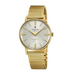 Vyriškas laikrodis Festina 20251/1 kaina ir informacija | Vyriški laikrodžiai | pigu.lt