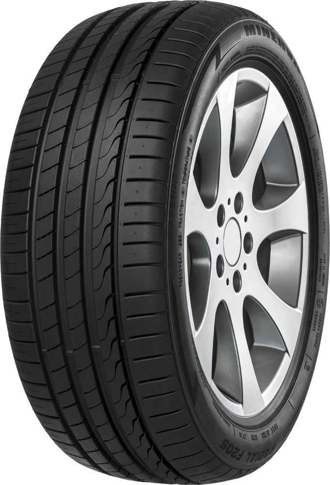 Minerva F205 225/55R17 101 W XL kaina ir informacija | Vasarinės padangos | pigu.lt