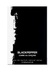 Парфюмированная вода Comme des Garcons Blackpepper EDP, 50 мл цена и информация | Женские духи | pigu.lt