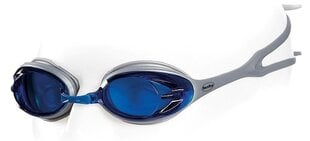 Plaukimo akiniai FASHY POWER, mėlynas kaina ir informacija | Plaukimo akiniai | pigu.lt