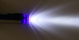 Светодиодный фонарик с магнитом цена и информация | Автопринадлежности | pigu.lt