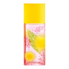 Tualetinis vanduo Elizabeth Arden Green Tea Mimosa EDT moterims 100 ml kaina ir informacija | Elizabeth Arden Kvepalai, kosmetika | pigu.lt