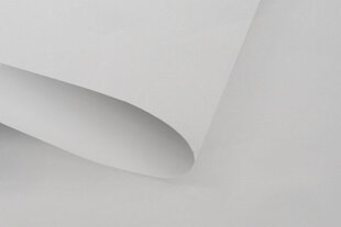 Šviesos nepraleidžiantis sieninis roletas Blackout 220x170 cm, pg-03 pilka цена и информация | Рулонные шторы | pigu.lt