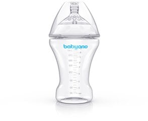 Бутылочка для кормления  BabyOno Natural Nursing, 260мл, 1451 цена и информация | BabyOno Бытовая техника и электроника | pigu.lt