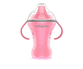 Детская бутылочка BabyOno Natural Nursing, 260 мл, 1457, розовый цена и информация | Бутылочки и аксессуары | pigu.lt