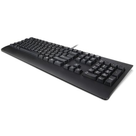 Lenovo USB Keyboard Black цена и информация | Klaviatūros | pigu.lt