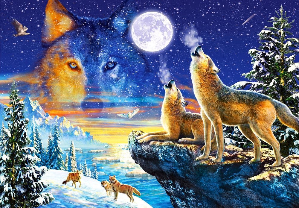 Dėlionė Castorland Puzzle Howling Wolves, 1000 d. kaina ir informacija | Dėlionės (puzzle) | pigu.lt