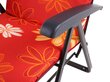 Kėdė-gultas Galaxy Plus, juodas/spalvotas kaina ir informacija | Gultai | pigu.lt