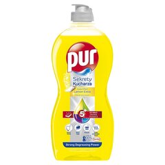 Indų ploviklis "PUR Duo Power Lemon" 450ml kaina ir informacija | Indų plovimo priemonės | pigu.lt