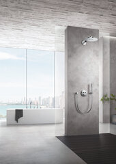 Душевой шланг Grohe Silverflex, 1250 мм, 28362000 цена и информация | Аксессуары для душа, смесителей | pigu.lt