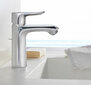 Hansgrohe Metris 110 praustuvo maišytuvas, 31080000 цена и информация | Vandens maišytuvai | pigu.lt