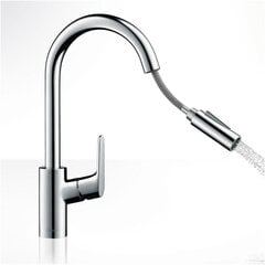 Смеситель с выдвижным душем Hansgrohe Focus, 31815000 цена и информация | Кухонные смесители  | pigu.lt