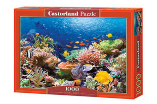 Dėlionė Puzzle Castorland Coral Reef Fishes, 1000 d. kaina ir informacija | Dėlionės (puzzle) | pigu.lt