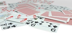 Pokerio Kortos Cartamundi kaina ir informacija | Azartiniai žaidimai, pokeris | pigu.lt