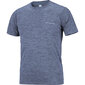 Marškinėliai vyrams Columbia AM6084, mėlyni kaina ir informacija | Vyriški marškinėliai | pigu.lt