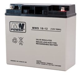 MWpower аккумулятор MWS 12V 18Ah M5(T13) AGM цена и информация | Батарейки | pigu.lt
