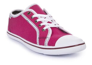 Женская спортивная обувь Trespass Katana цена и информация | Спортивная обувь, кроссовки для женщин | pigu.lt