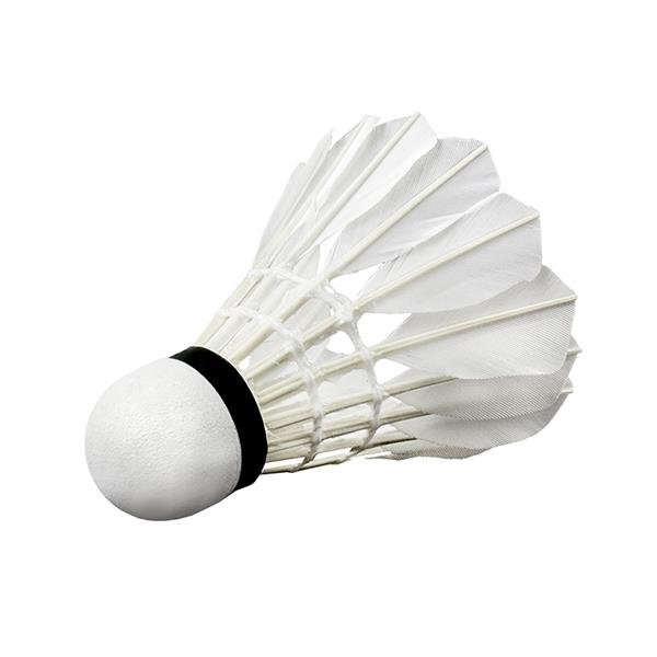 Badmintono skrajukai Wish S505-06 6 vnt цена и информация | Badmintonas | pigu.lt