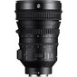 Sony E PZ 18-110mm F4 G OSS | (SELP18110G) kaina ir informacija | Objektyvai | pigu.lt