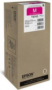Epson C13T974300 цена и информация | Kasetės rašaliniams spausdintuvams | pigu.lt