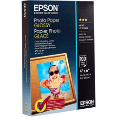 Epson c13s042548 kaina ir informacija | Priedai fotoaparatams | pigu.lt