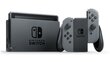 Nintendo Switch, Pilkas kaina ir informacija | Žaidimų konsolės | pigu.lt