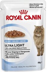 Konservai katėms ROYAL CANIN, 85x12 g kaina ir informacija | Konservai katėms | pigu.lt